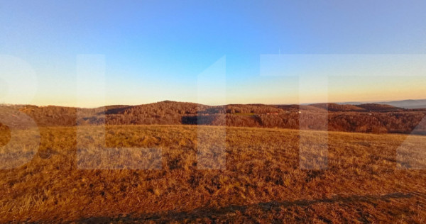 Teren extravilan potrivit pentru investitie