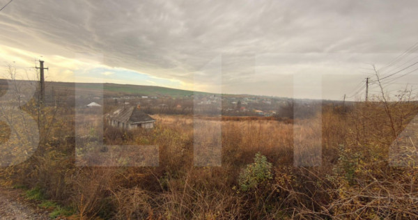 ???? Teren intravilan 3.666 mp – Buzeni / Zăicești, jud.