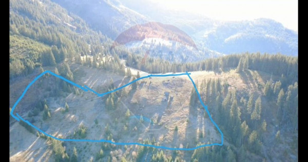 Teren 31,461mp Panaci / Prelungirea Ialovita