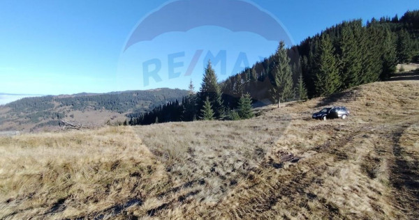 Teren 31,461mp Panaci / Prelungirea Ialovita