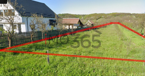 Teren intravilan Babana Primarie 2893mp stradal