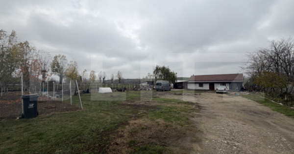 Teren intravilan agricol, sere, anexa agricola, 11500 mp ter