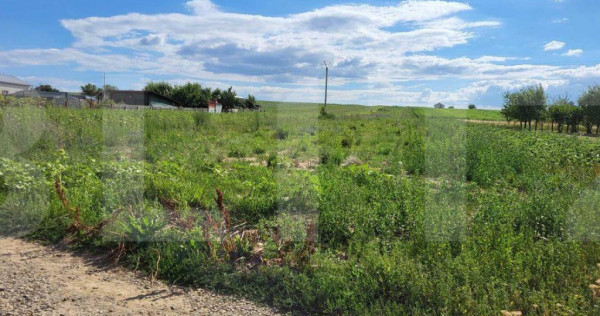 Teren Intravilan Curtesti 7500mp