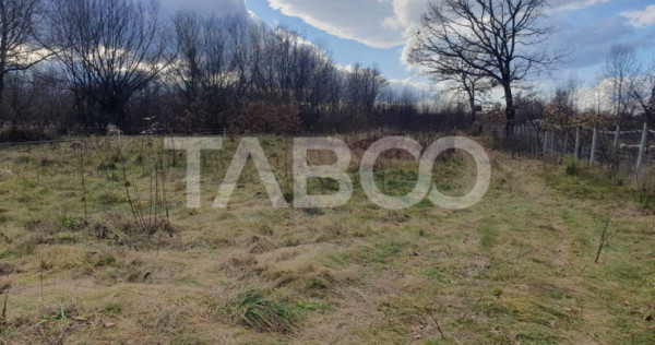 Comision 0 % Teren intravilan 2 cai de acces 3100 mp Savastr