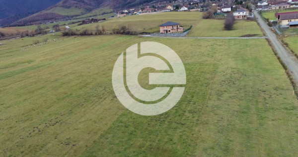 Teren intravilan în Tocile - 4354 m² - 2 fronturi - 49 eur