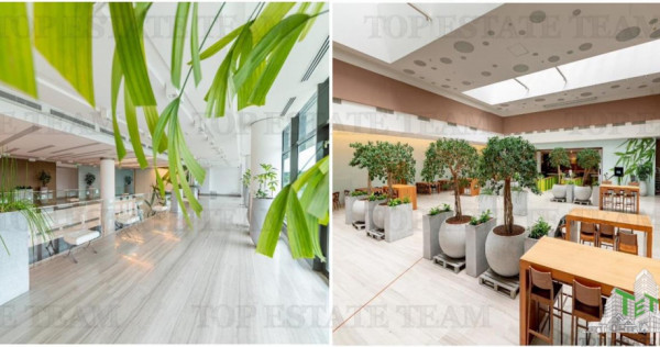 Spatiu de Birouri de 494 mp in Zona Baneasa