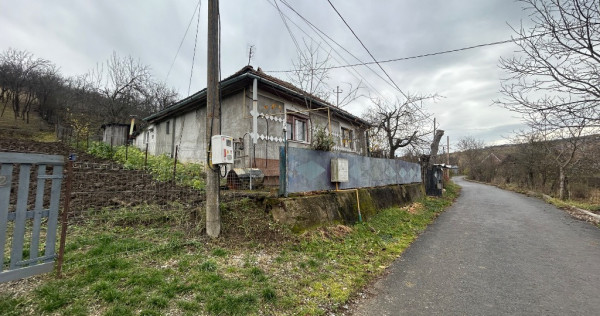 Vand teren 2400mp si casa bătrânească langa Cluj