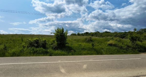 Teren 4.980 mp în Stubeiu, jud. Prahova