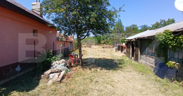 Teren intravilan 893 mp, comuna Carcea