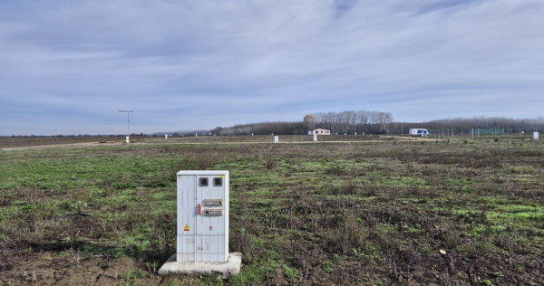 Loturi de teren 638 mp - curent tras la teren - Crevedia
