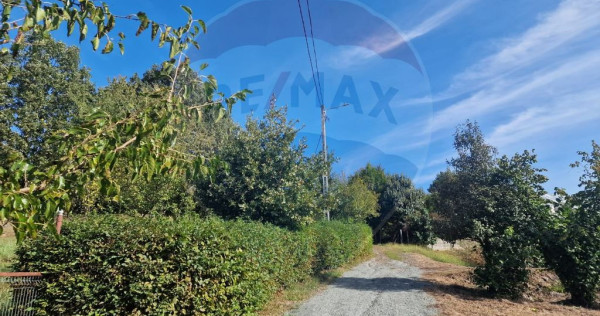 OCAZIE. De vanzare teren în Cicarlau - Strada 1 Mai - su...