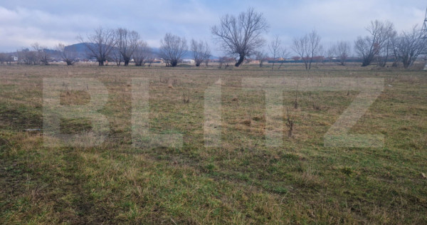 Teren intravilan Sanpetru - ideal ctie casa 500 mp