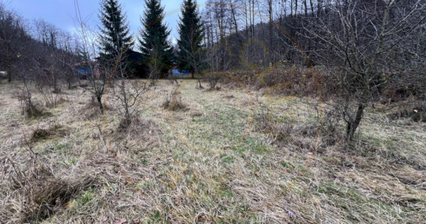 Teren intravilan 6.500 m²–Deschidere 144 ml drum european