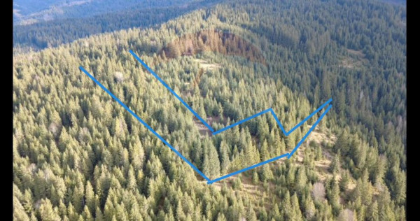 Teren 17,895mp Dorna-Arini / Prelungirea Cozănești
