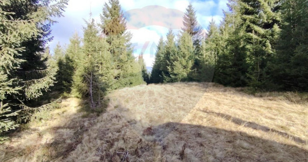 Teren 17,895mp Dorna-Arini / Prelungirea Cozănești