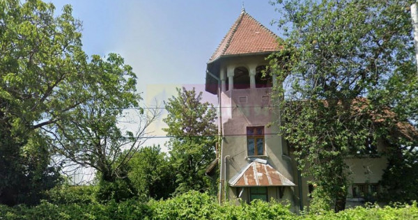 Casa de vanzare (vad comercial)