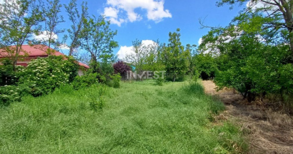TEREN INTRAVILAN, 602 MP, REDIU