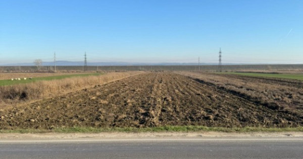 Teren 5000 mp, Valea Mare, Băbeni DN64