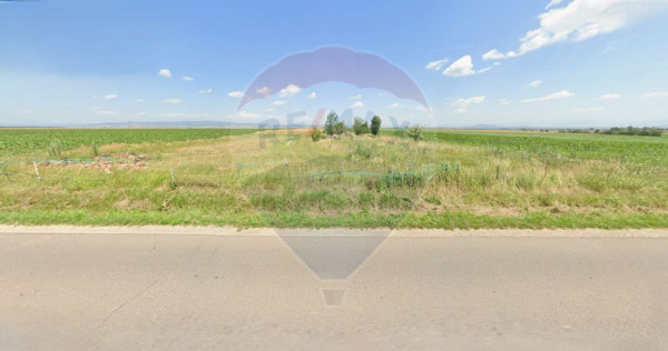 Teren extravilan 2 parcele de 9.750 mp - Satul Nou, comun...