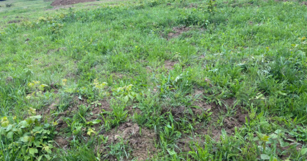 Teren de vanzare, zona linistita