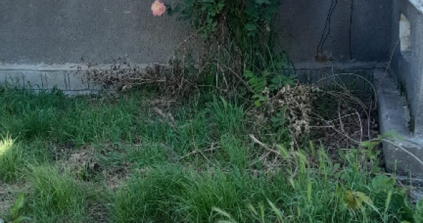 Casa &icirc;n Comuna Namoloasa Sat, Galati