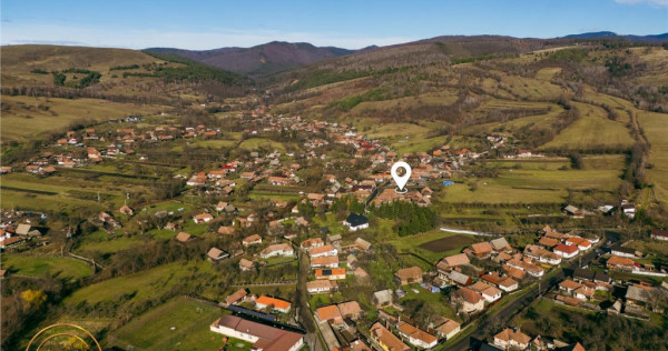 FILM! Domeniu de 6.221mp, livada pomi fructiferi casa si ane