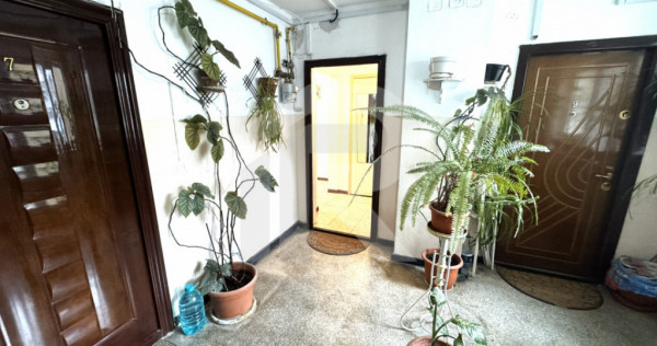 De inchiriat apartament 2 camere, Nord, Judetean, Cameliei