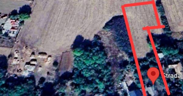 Teren aproape de București 6000mp