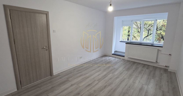 2 camere Teiul Doamnei, Ion Berindei circa 7 poliție.