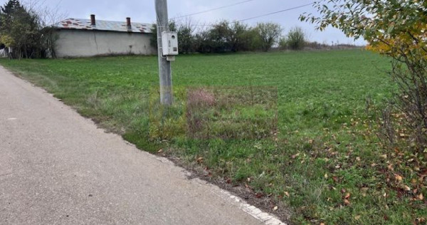 Teren Comana- strada Funieru.