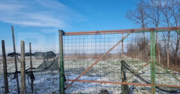 Teren cu livada Nuci- Oportunitate investitie- CioraniPh