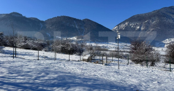 Teren 1000mp, constructie casa vacanta Tohanita