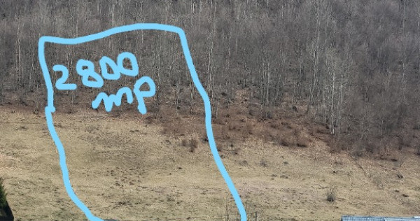 Teren intravilan 3 loturi de 6000, 2800 si 12000mp