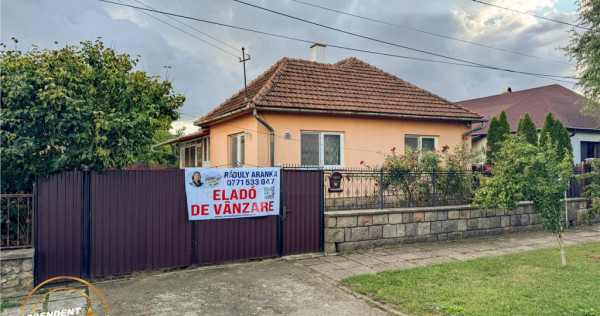 FILM3D! Casa ospitaliera,curte si gradina asortata,arie lini