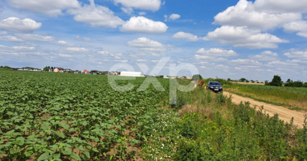 Teren intravilan de vanzare Tunari Ilfov