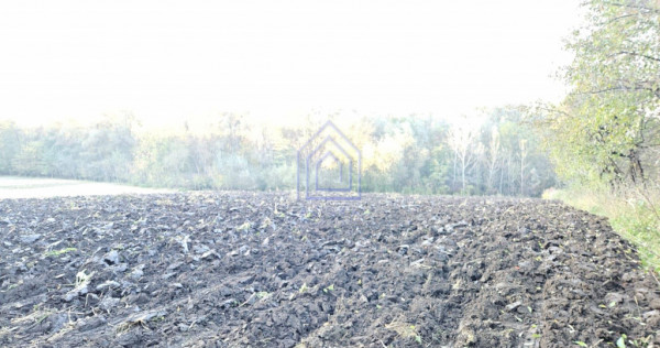 Teren Costana, vedere superba