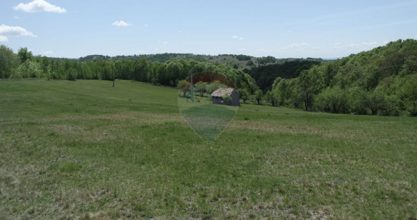 TEREN DE V&Acirc;NZARE &Icirc;N PRELUCA NOUA