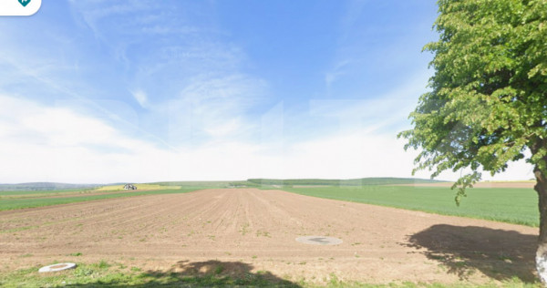 Teren 75 ari, Drumul Mitocului, la strada principala