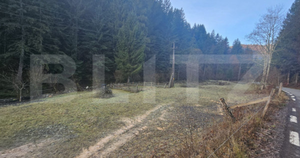 Teren Intravilan 10000 mp, Furduieşti, C&acirc;mpeni