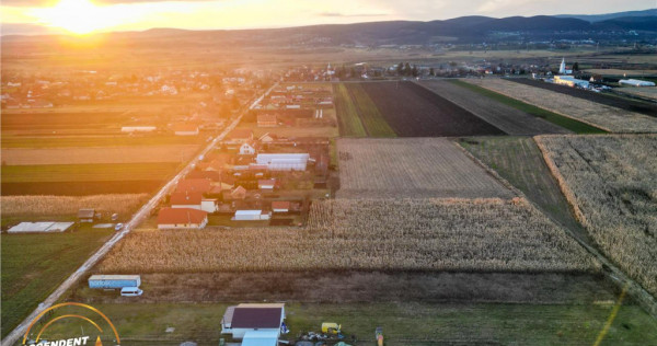 FILM! Teren mixt, 2.493 mp, Chilieni, judetul Covasna