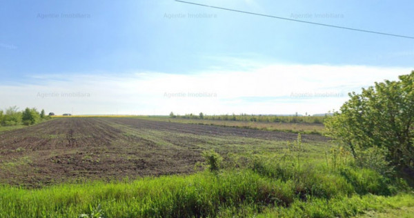 Teren Branesti 1016 mp - intre padure si A2 - Comision 0%