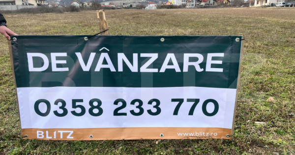 Teren intravilan, 6368 mp, zona Cetate - Penny Micesti