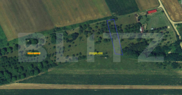 Teren intravilan &icirc;n Mihai Viteazu, langa Turda, 2 parcele d