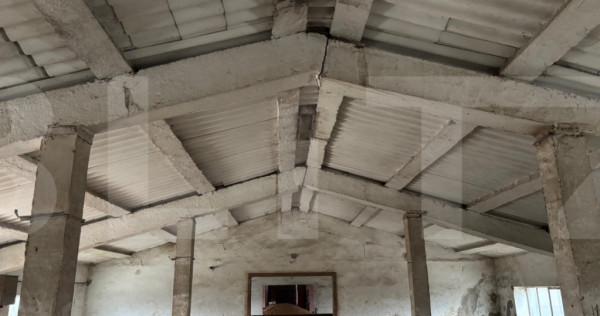 Hală pentru depozitare / logistică, curte mare &ndash; Iratos