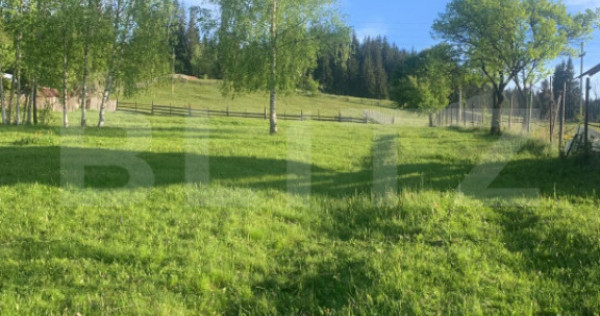 Teren intravila in Vatra Dornei, 2000 mp