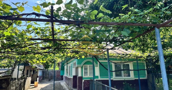 Casa batraneasca de vanzare in Filipesti Bacau