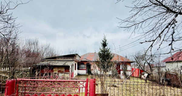 Oază de liniște &icirc;n Titu &ndash; Sălcuța