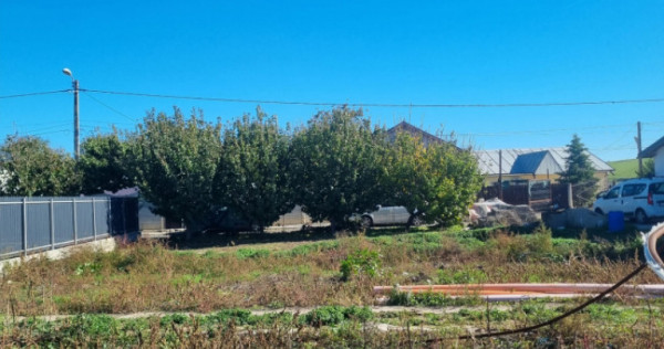 TEREN DE VANZARE IN CALARASI