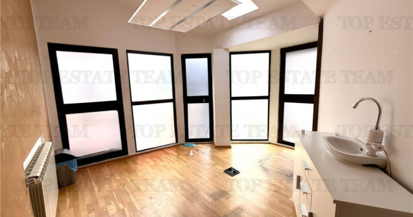 Vila de &icirc;nchiriat cu 7 camere ultracentral Piata Victoriei