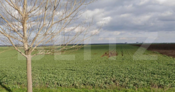 Teren 15.000 mp, 28 parcele, Peugeot/Pielesti